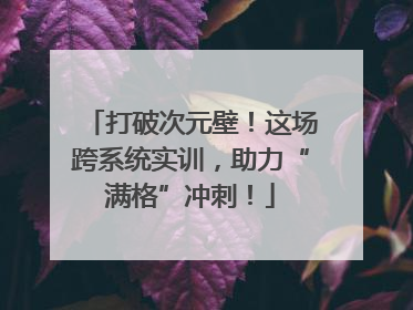 打破次元壁！这场跨系统实训，助力“满格”冲刺！