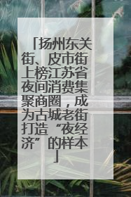 扬州东关街、皮市街上榜江苏省夜间消费集聚商圈，成为古城老街打造“夜经济”的样本