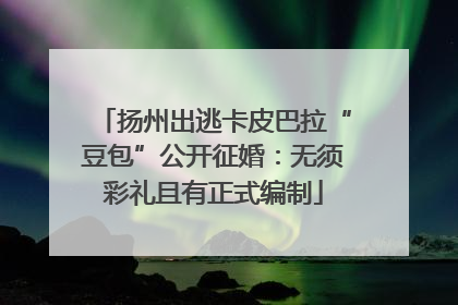 扬州出逃卡皮巴拉“豆包”公开征婚：无须彩礼且有正式编制