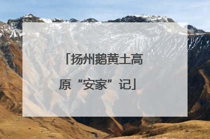 扬州鹅黄土高原“安家”记
