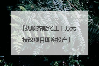抚顺齐隆化工千万元技改项目即将投产