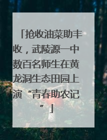 抢收油菜助丰收，武陵源一中数百名师生在黄龙洞生态田园上演“青春助农记”