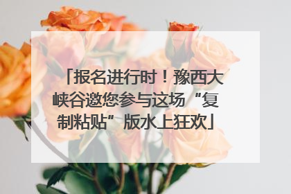 报名进行时！豫西大峡谷邀您参与这场“复制粘贴”版水上狂欢