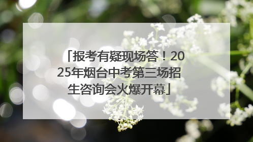 报考有疑现场答！2025年烟台中考第三场招生咨询会火爆开幕