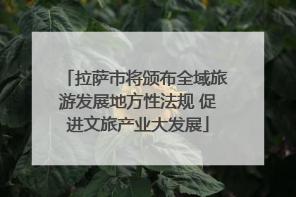 拉萨市将颁布全域旅游发展地方性法规 促进文旅产业大发展