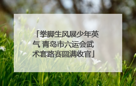 拳脚生风展少年英气 青岛市六运会武术套路赛圆满收官