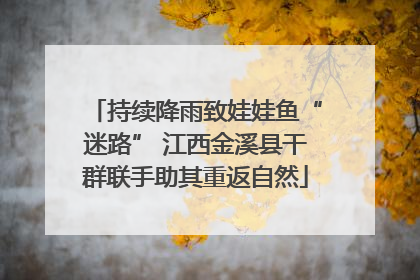 持续降雨致娃娃鱼“迷路” 江西金溪县干群联手助其重返自然