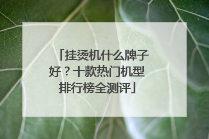 挂烫机什么牌子好？十款热门机型排行榜全测评