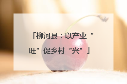 柳河县：以产业“旺”促乡村“兴”