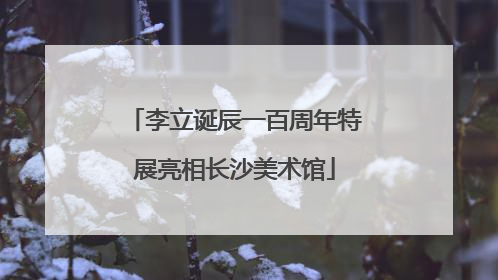 李立诞辰一百周年特展亮相长沙美术馆