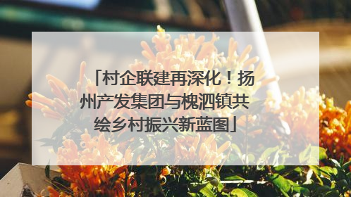 村企联建再深化！扬州产发集团与槐泗镇共绘乡村振兴新蓝图