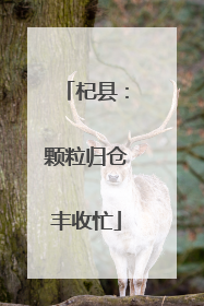 杞县：颗粒归仓丰收忙