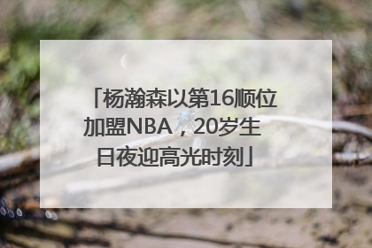 杨瀚森以第16顺位加盟NBA，20岁生日夜迎高光时刻