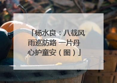 杨水良：八载风雨巡防路 一片丹心护童安（图）