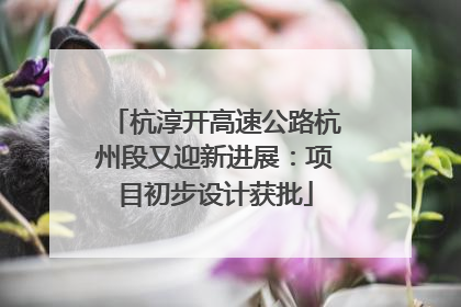 杭淳开高速公路杭州段又迎新进展：项目初步设计获批