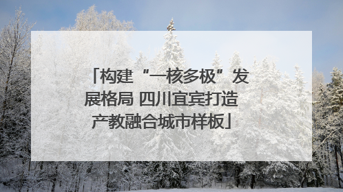 构建“一核多极”发展格局 四川宜宾打造产教融合城市样板