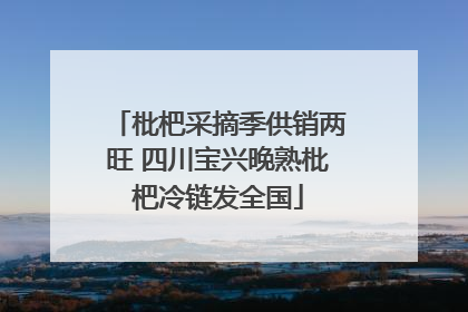 枇杷采摘季供销两旺 四川宝兴晚熟枇杷冷链发全国