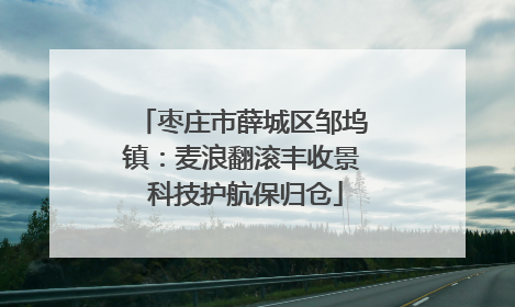 枣庄市薛城区邹坞镇：麦浪翻滚丰收景 科技护航保归仓