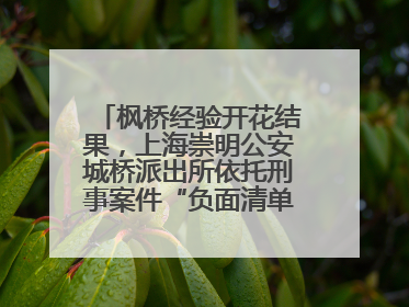 枫桥经验开花结果，上海崇明公安城桥派出所依托刑事案件“负面清单”强化派出所“主防”