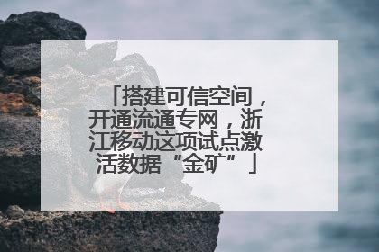 搭建可信空间，开通流通专网，浙江移动这项试点激活数据“金矿”