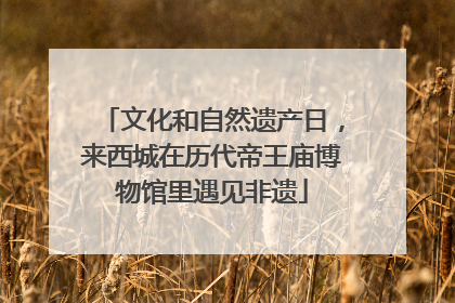 文化和自然遗产日，来西城在历代帝王庙博物馆里遇见非遗