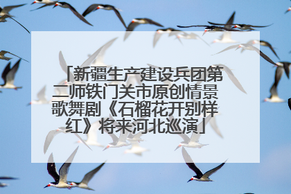 新疆生产建设兵团第二师铁门关市原创情景歌舞剧《石榴花开别样红》将来河北巡演