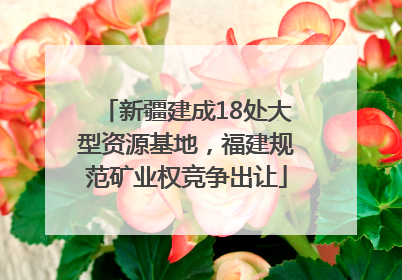 新疆建成18处大型资源基地，福建规范矿业权竞争出让