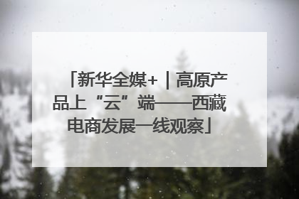 新华全媒+｜高原产品上“云”端——西藏电商发展一线观察