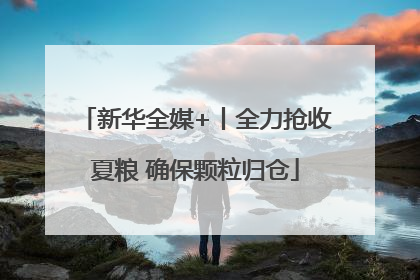 新华全媒+丨全力抢收夏粮 确保颗粒归仓