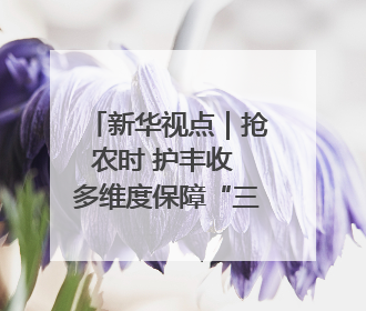 新华视点｜抢农时 护丰收 多维度保障“三夏”生产