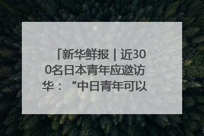 新华鲜报｜近300名日本青年应邀访华：“中日青年可以创造更好的未来”