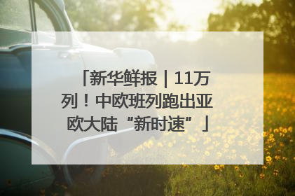 新华鲜报｜11万列！中欧班列跑出亚欧大陆“新时速”