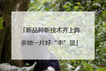 新品种新技术齐上阵 多地一片好“丰”景