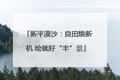 新平漠沙：良田焕新机 绘就好“丰”景