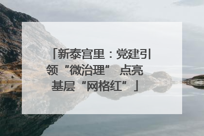 新泰宫里：党建引领“微治理” 点亮基层“网格红”