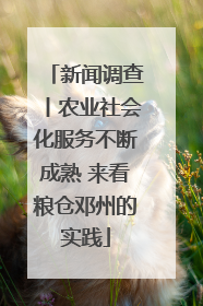 新闻调查丨农业社会化服务不断成熟 来看粮仓邓州的实践