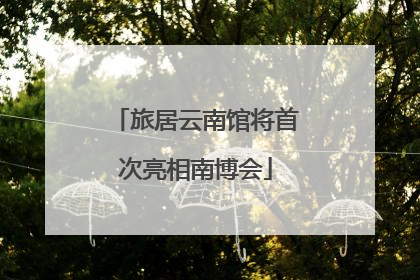 旅居云南馆将首次亮相南博会