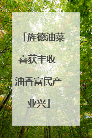 旌德油菜喜获丰收 油香富民产业兴