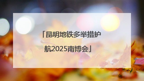 昆明地铁多举措护航2025南博会