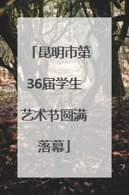 昆明市第36届学生艺术节圆满落幕