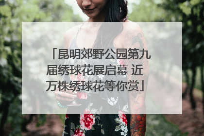 昆明郊野公园第九届绣球花展启幕 近万株绣球花等你赏