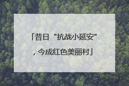 昔日“抗战小延安”，今成红色美丽村