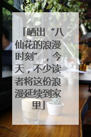 晒出“八仙花的浪漫时刻”，今天，不少读者将这份浪漫延续到家里