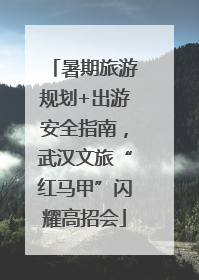 暑期旅游规划+出游安全指南，武汉文旅“红马甲”闪耀高招会