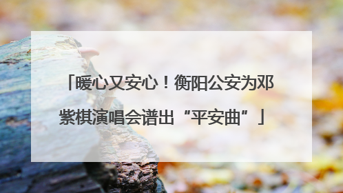暖心又安心！衡阳公安为邓紫棋演唱会谱出“平安曲”