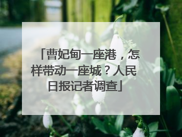 曹妃甸一座港，怎样带动一座城？人民日报记者调查
