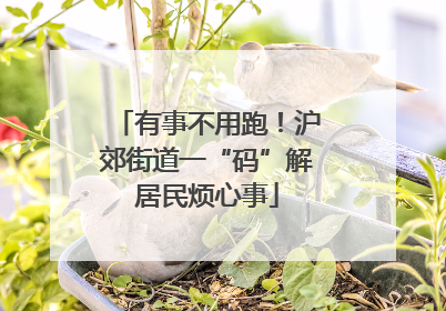 有事不用跑！沪郊街道一“码”解居民烦心事