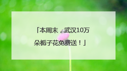 本周末，武汉10万朵栀子花免费送！