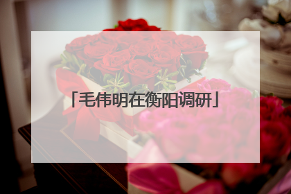 毛伟明在衡阳调研