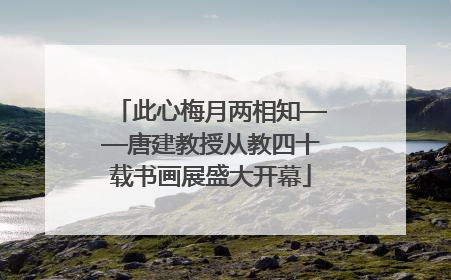 此心梅月两相知——唐建教授从教四十载书画展盛大开幕